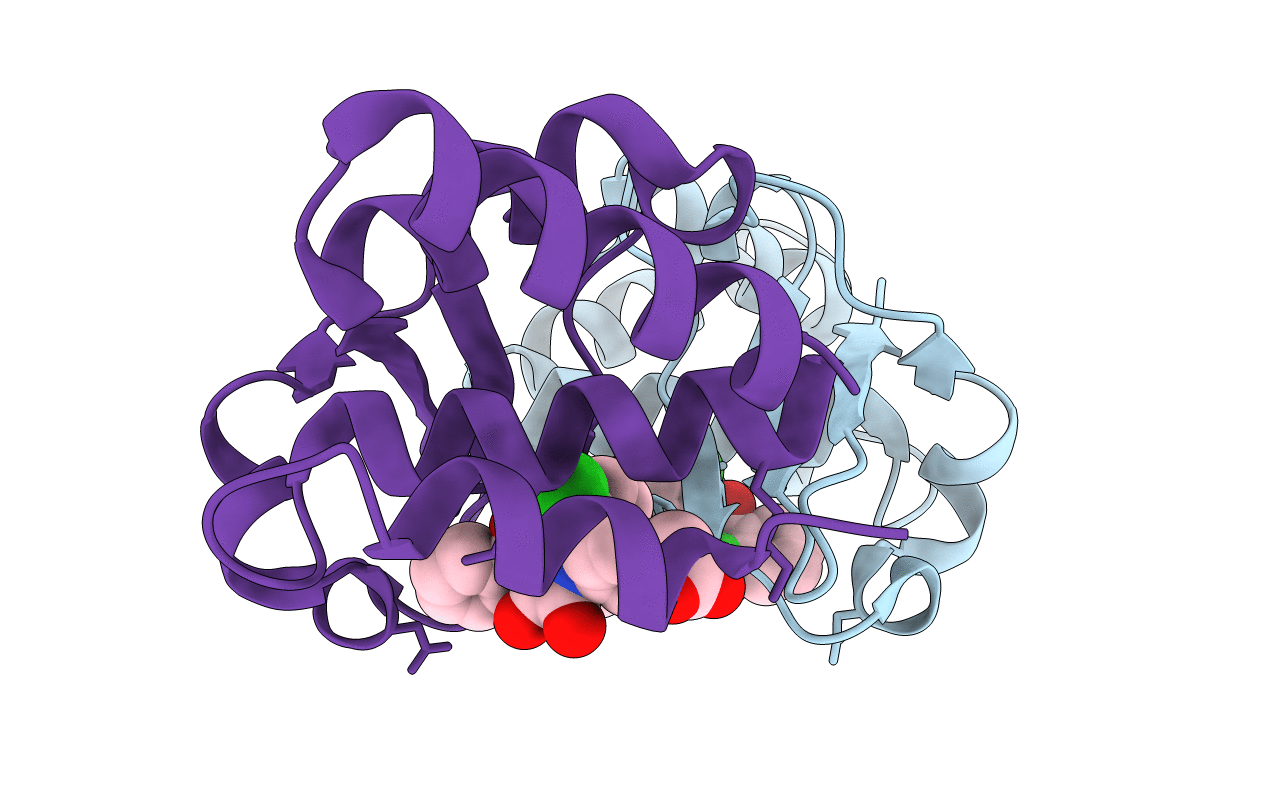 4IBC image