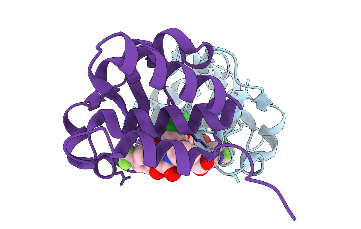 4IBI image