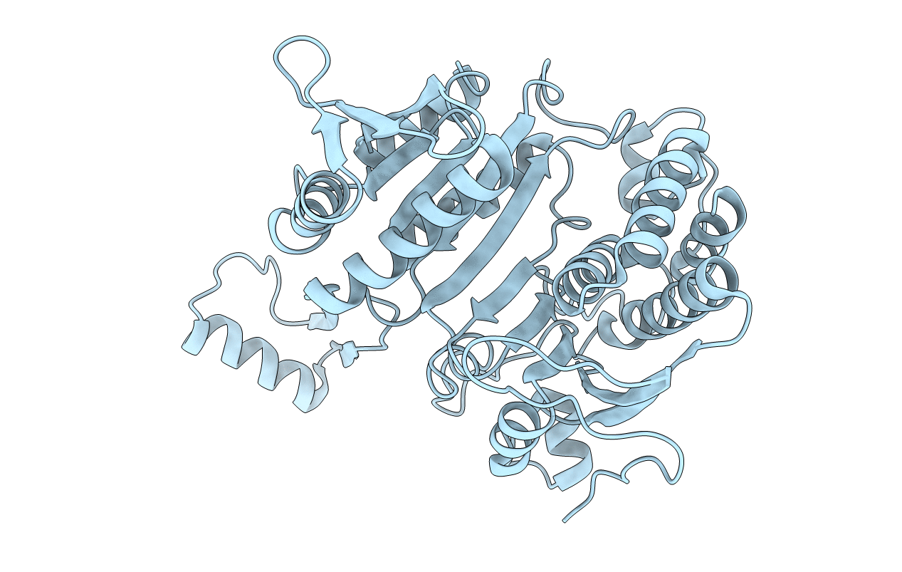 4ICD image