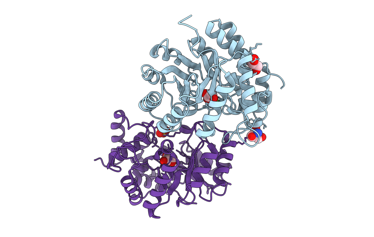 4ICN image