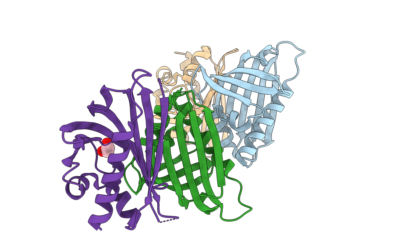 4IGX image
