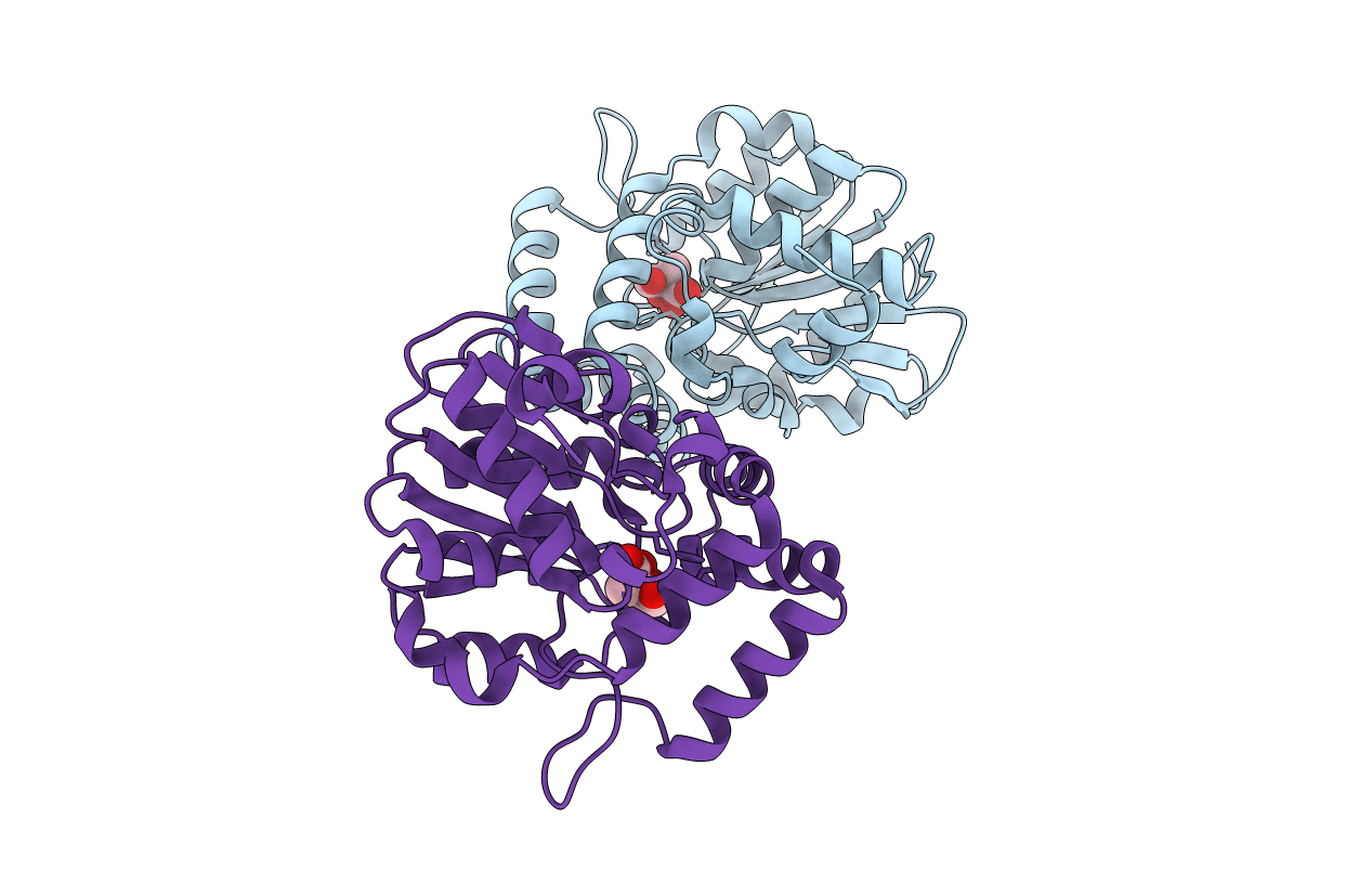 4IHA image