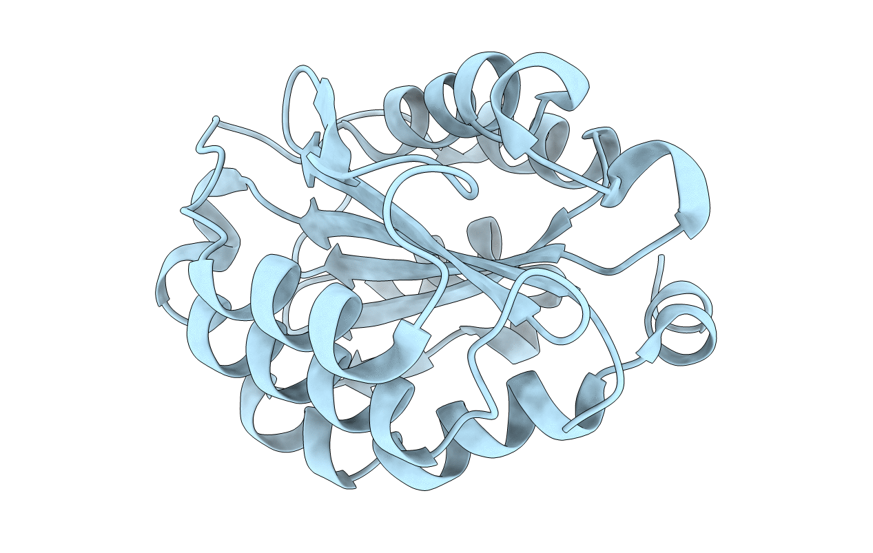 4IHK image