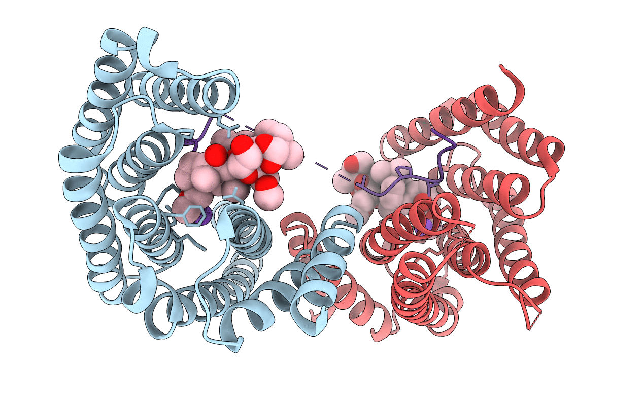 4IHL image