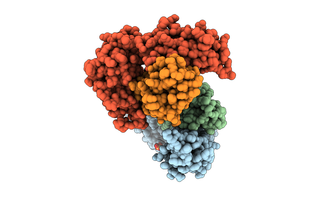 4IHO image