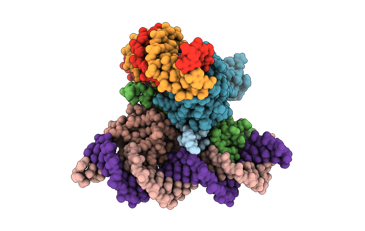 4IHS image