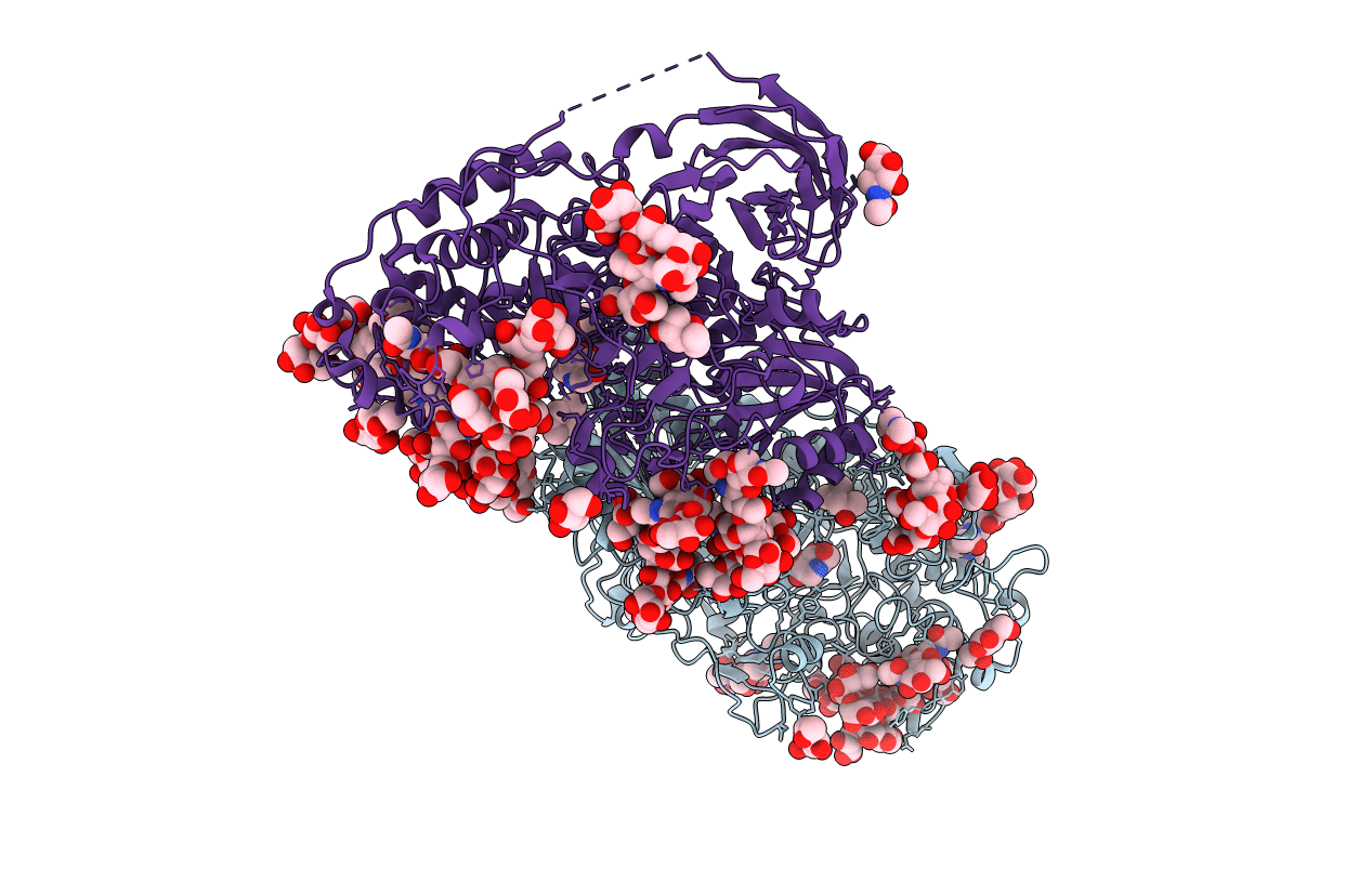 4IID image