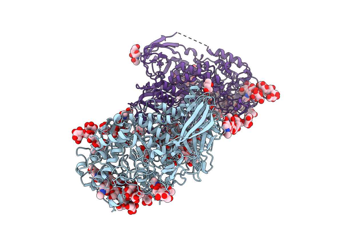 4IIG image