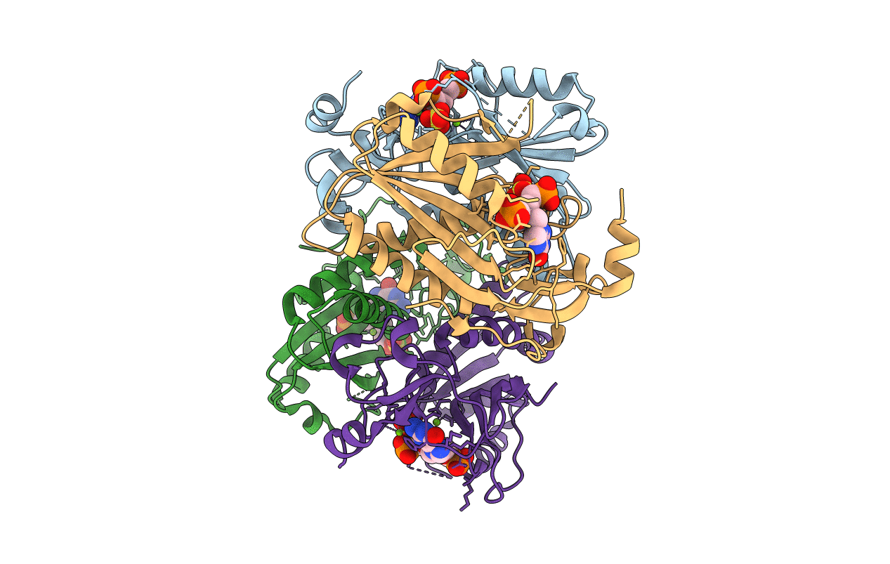 4IJQ image