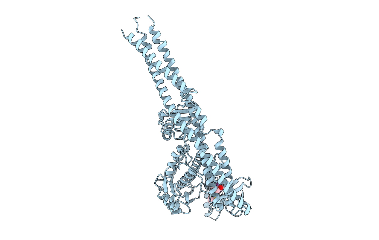 4IM2 image