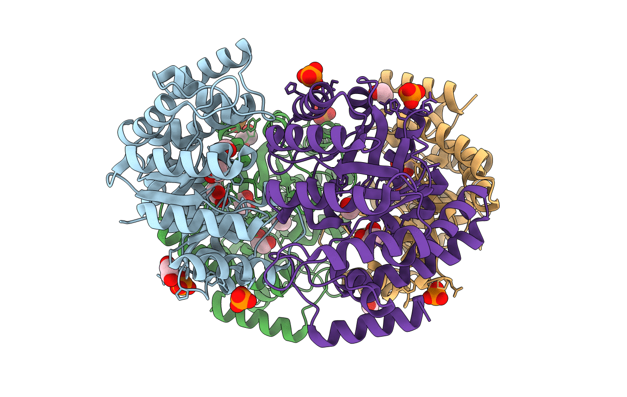 4IMC image
