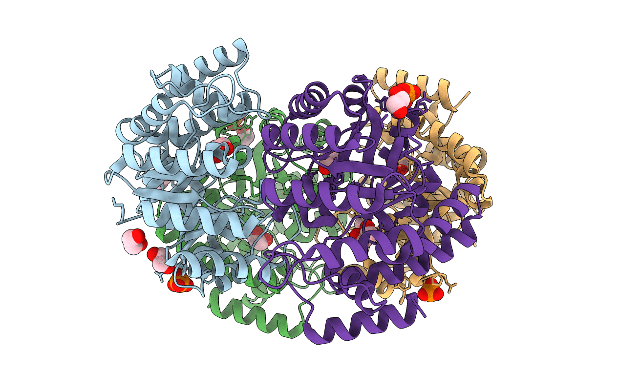 4IMD image