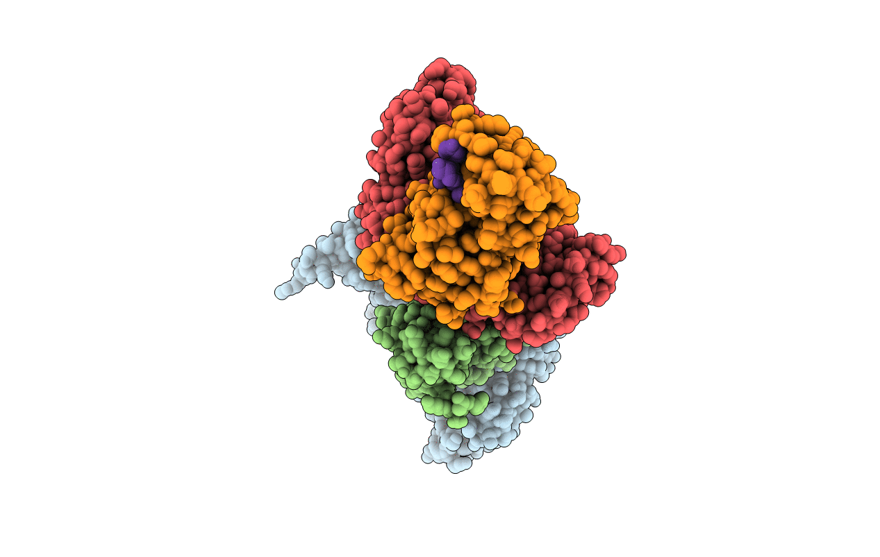 4IMJ image
