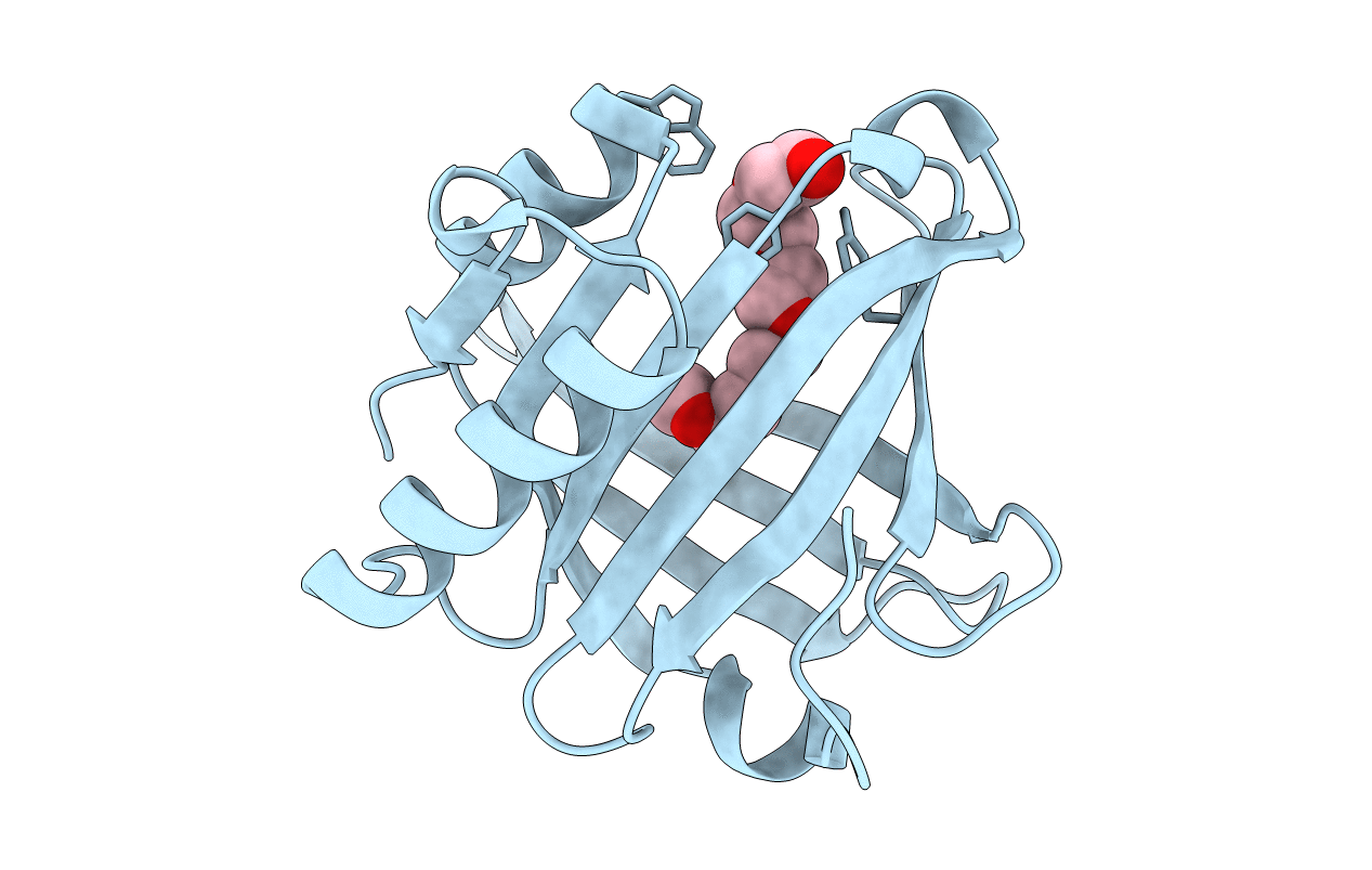 4IMN image