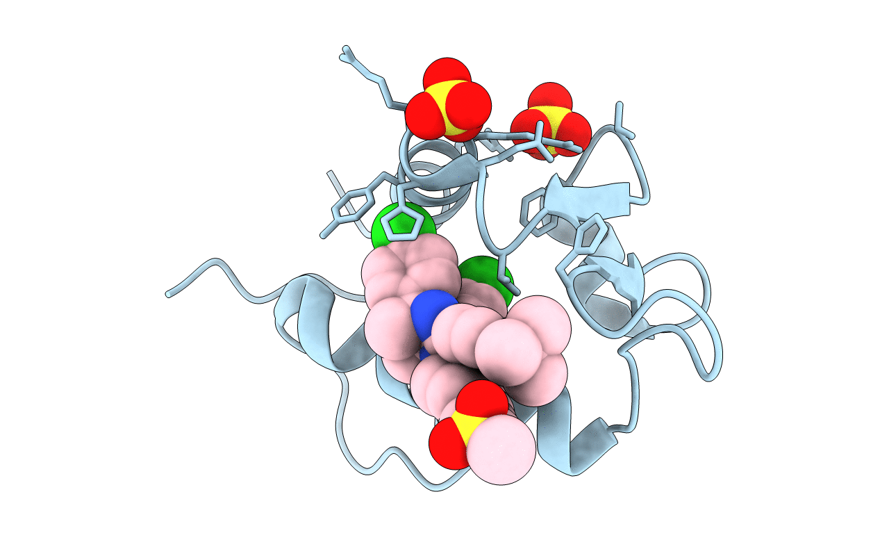 4IPF image