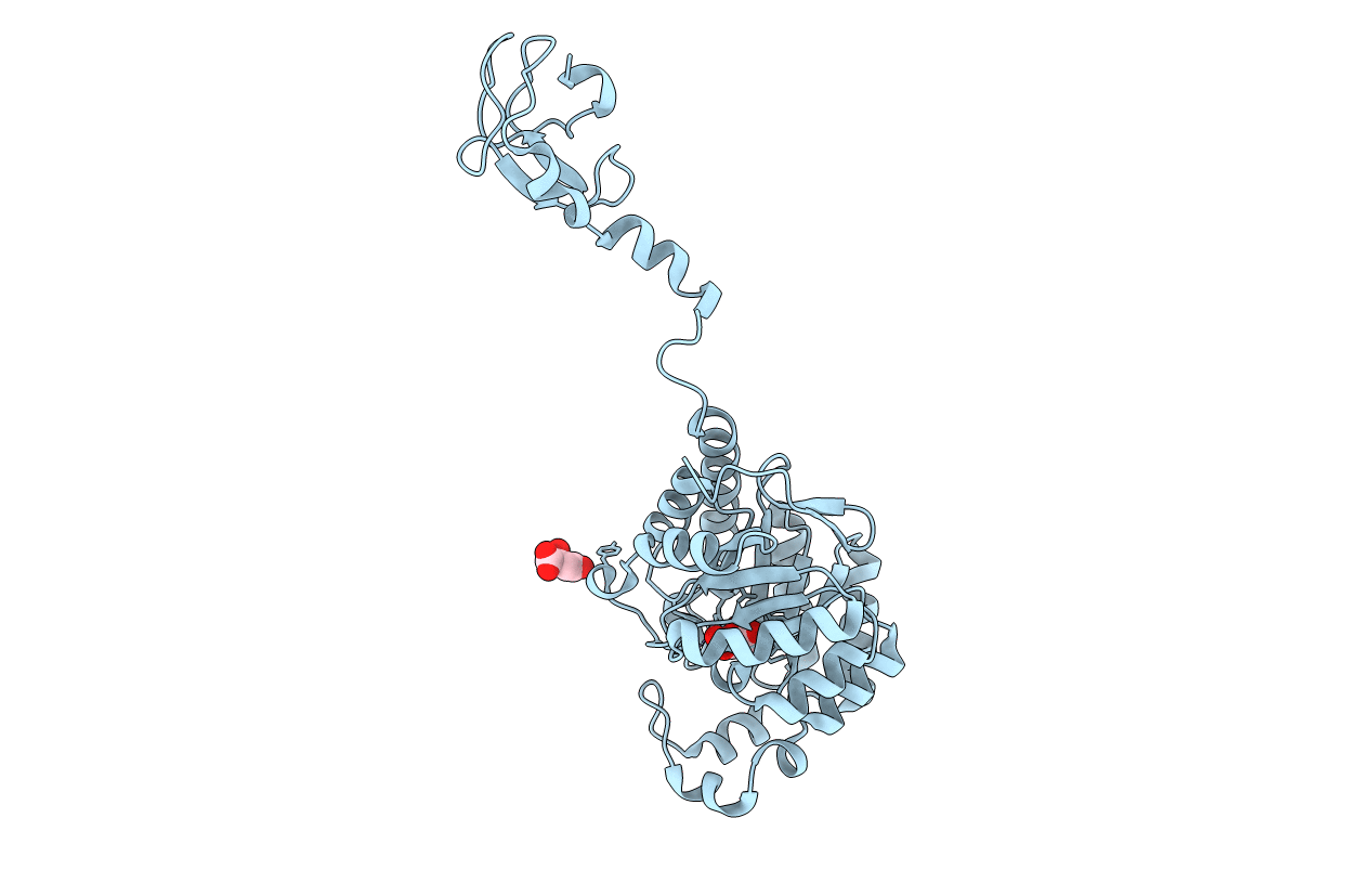 4IPI image