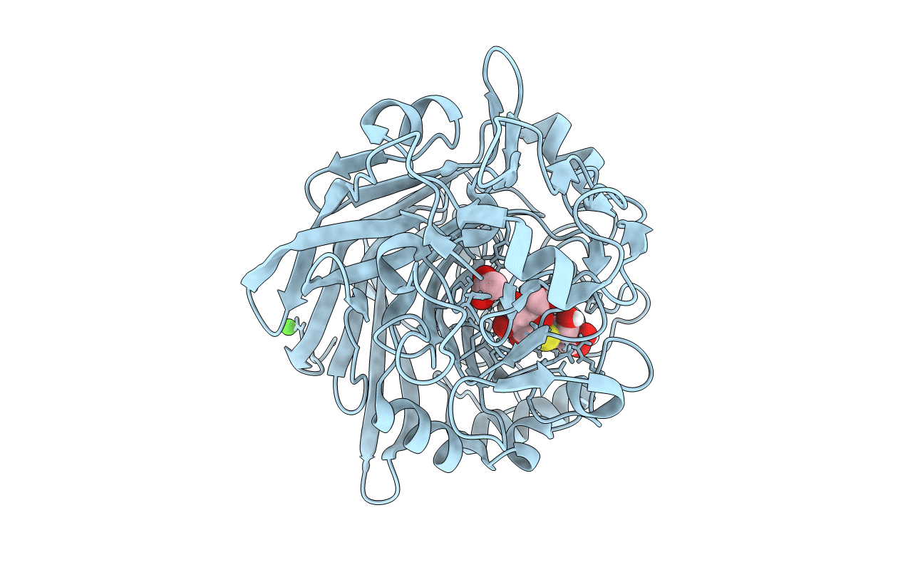 4IPM image