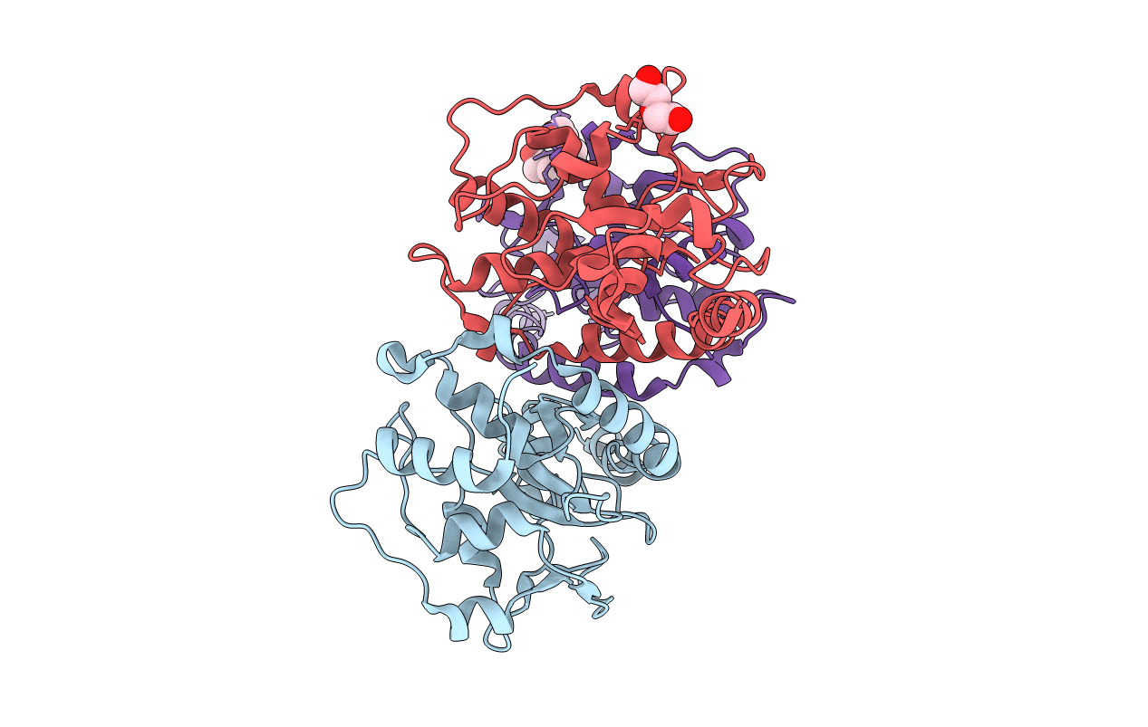 4IQN image
