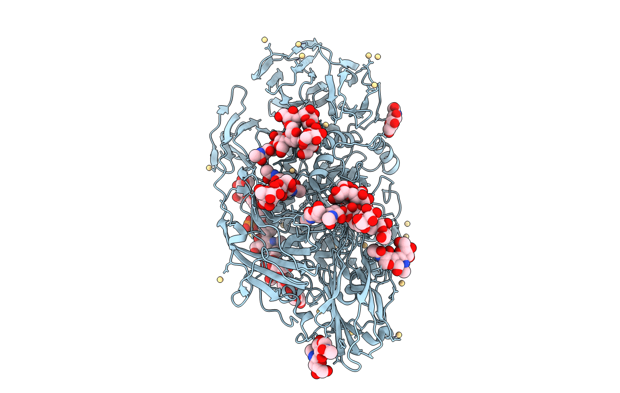 4IUG image