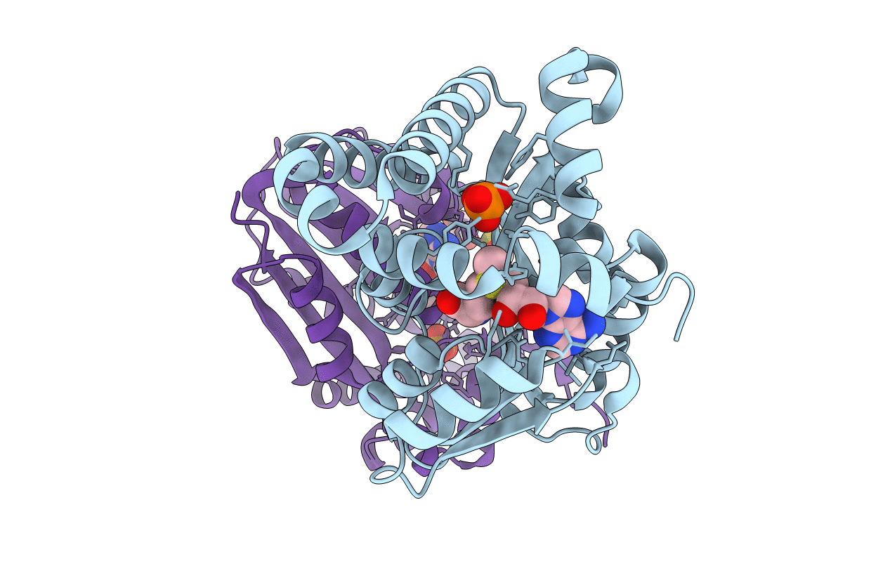 4IV0 image