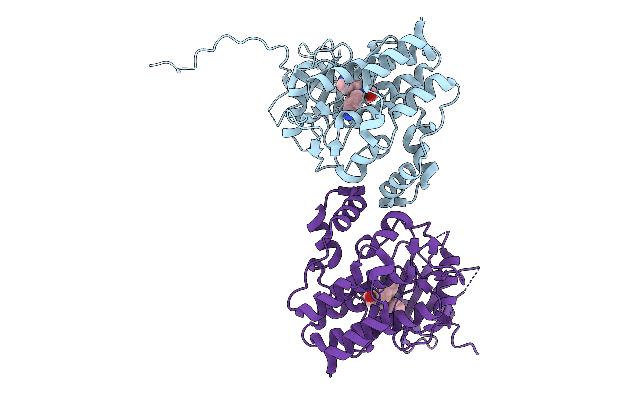 4IVB image