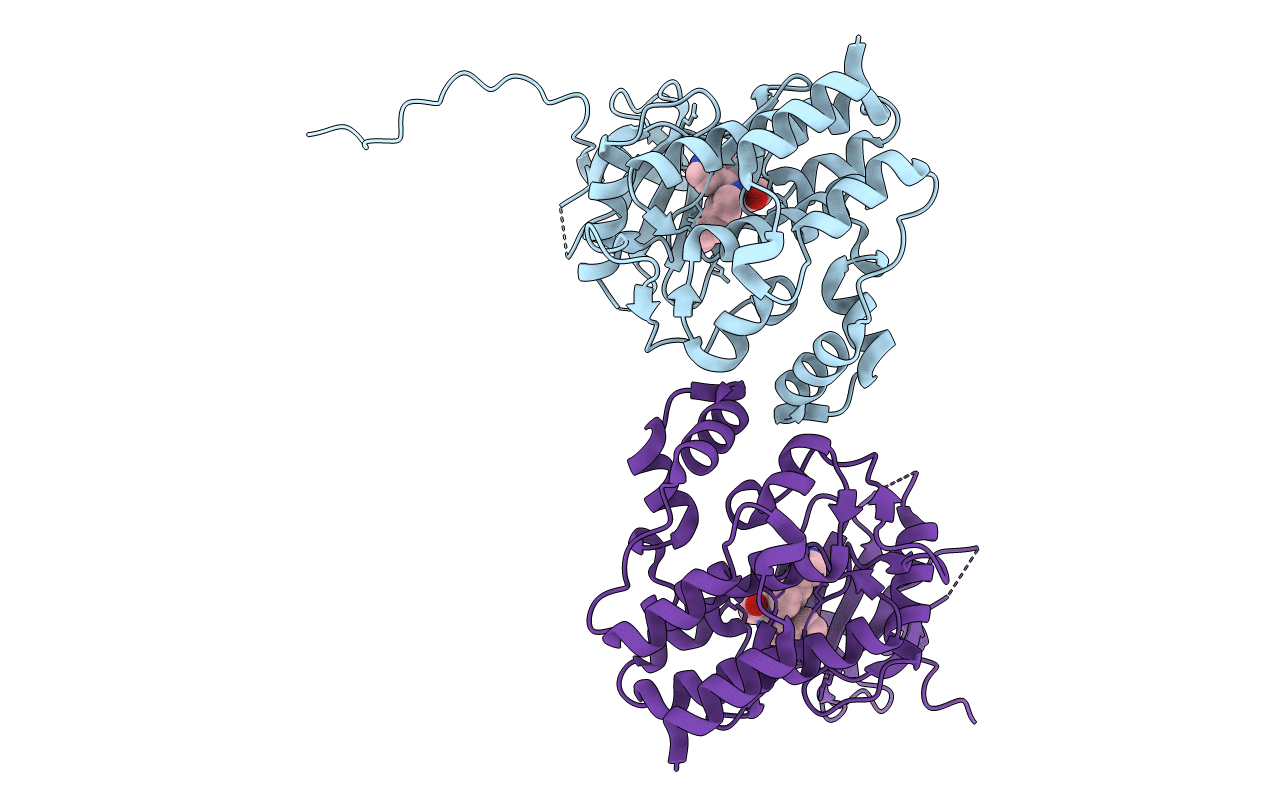 4IVD image