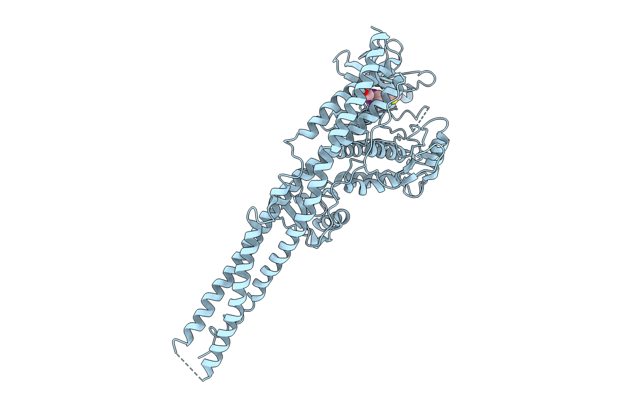 4IWP image