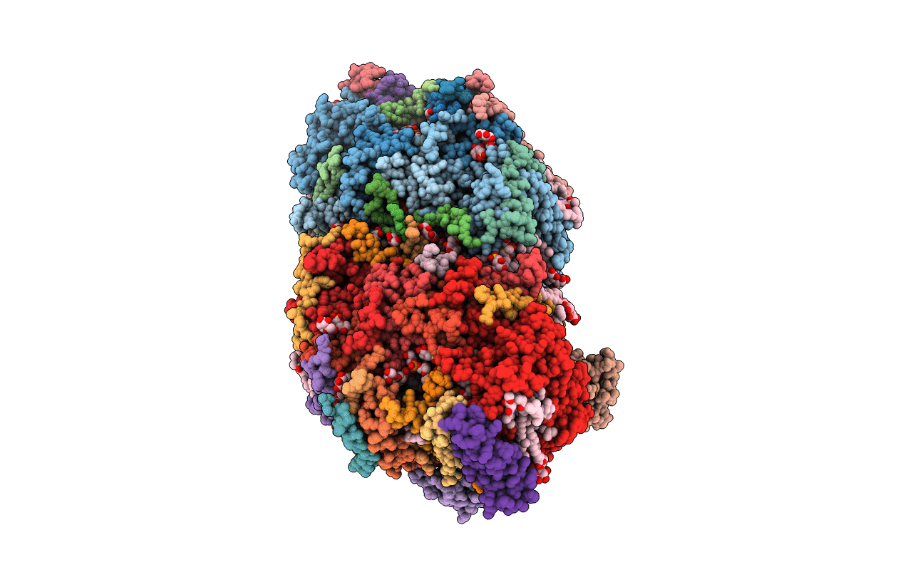 4IXR image