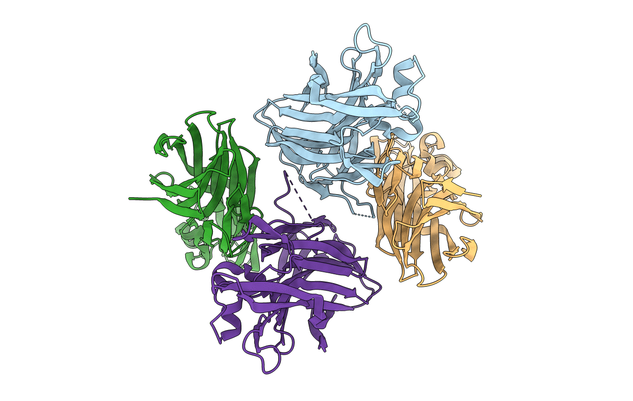 4IYC image