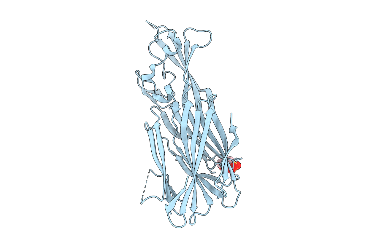 4IYT image