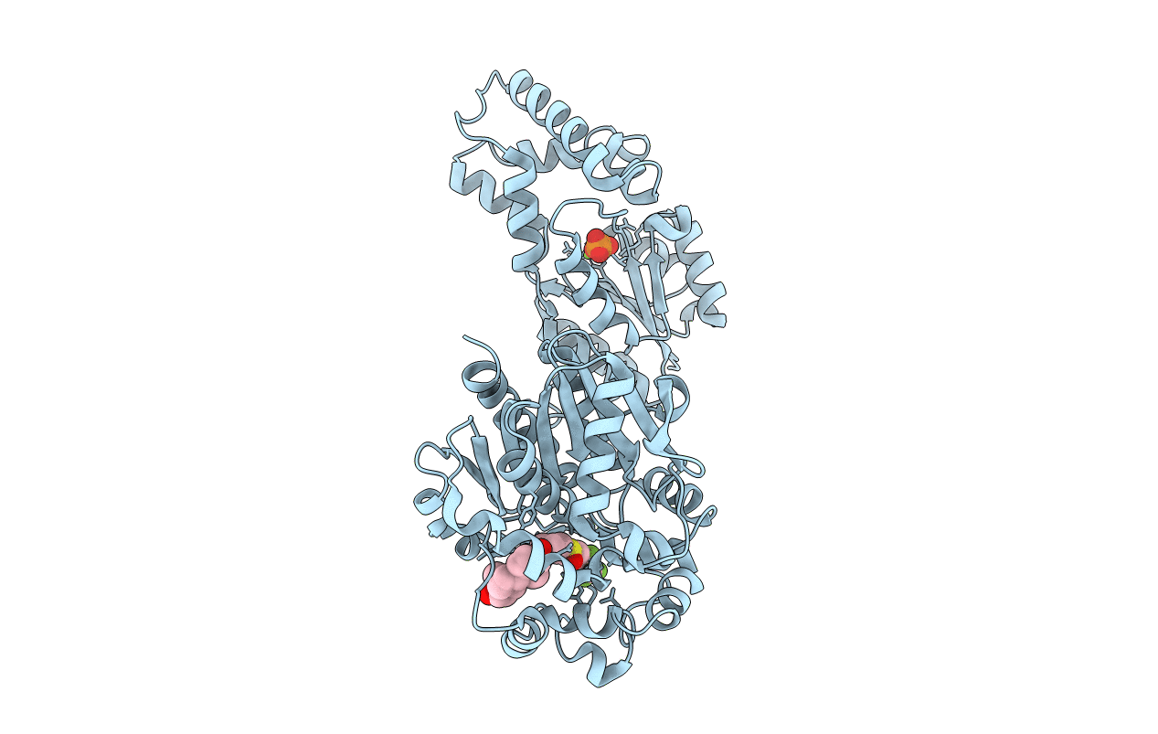 4J03 image