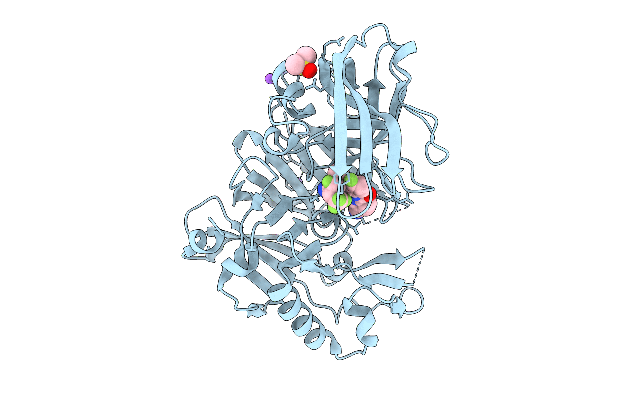 4J1I image
