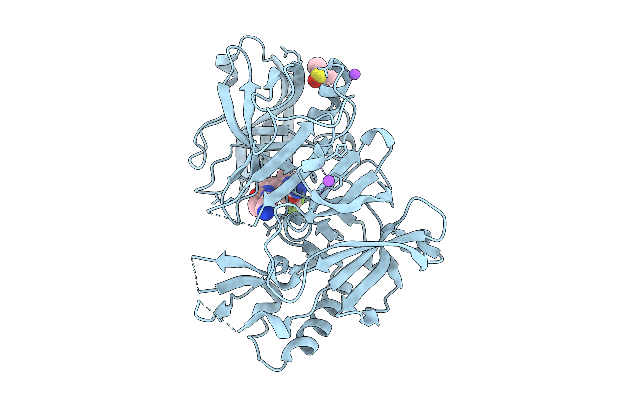 4J1K image