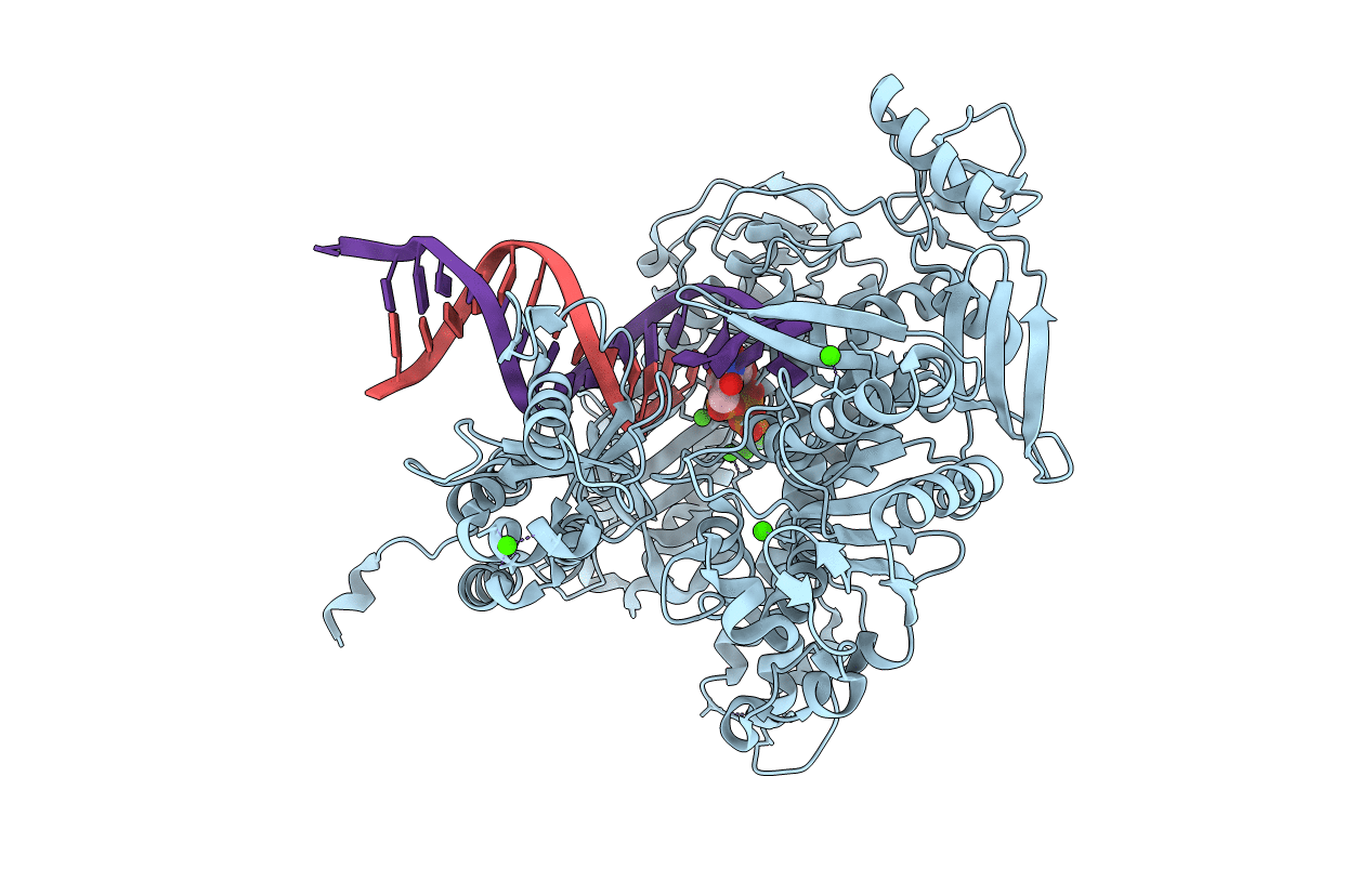 4J2D image