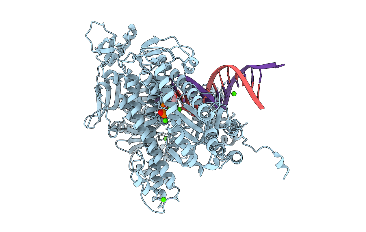 4J2E image