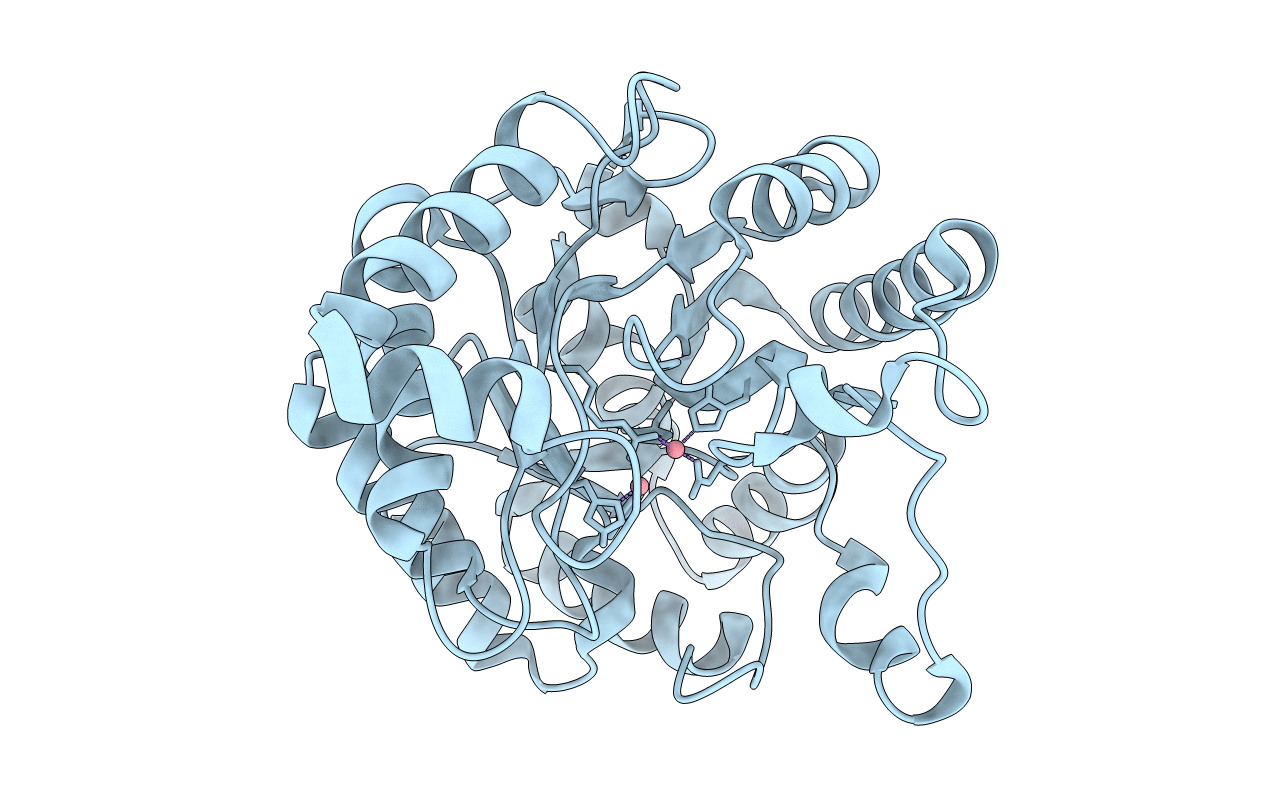 4J2M image