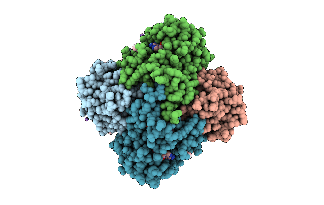 4J3F image