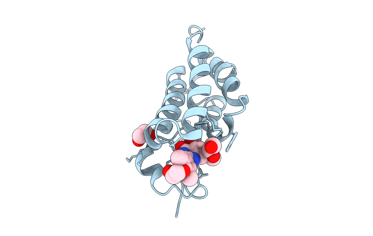4J3I image
