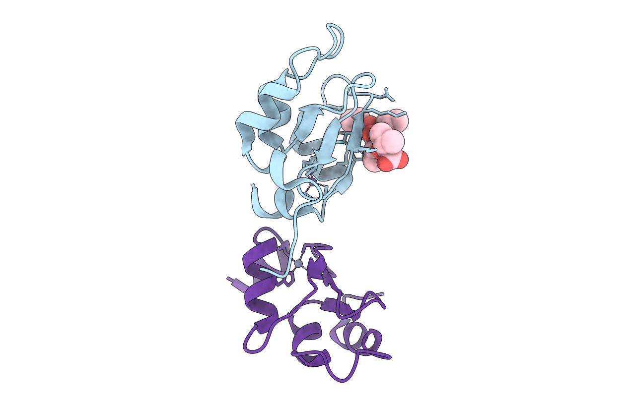 4J44 image