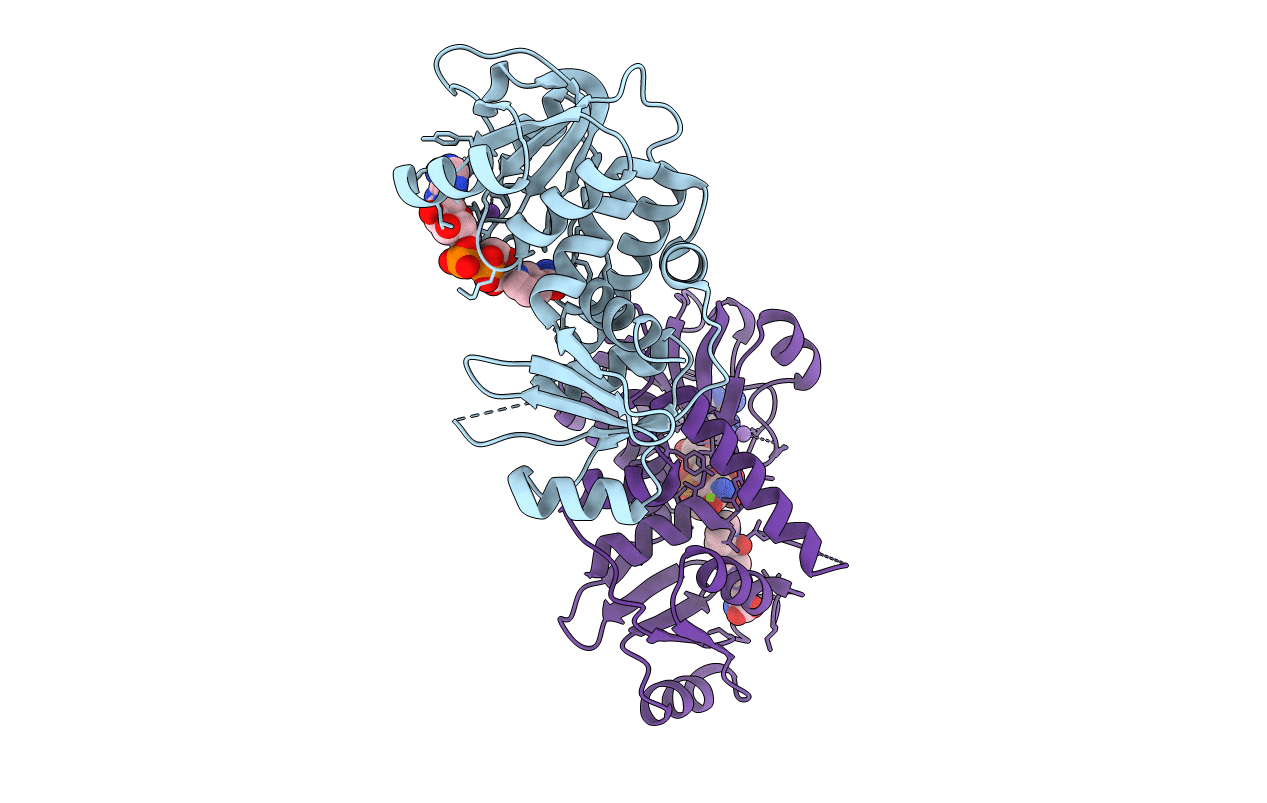 4J49 image