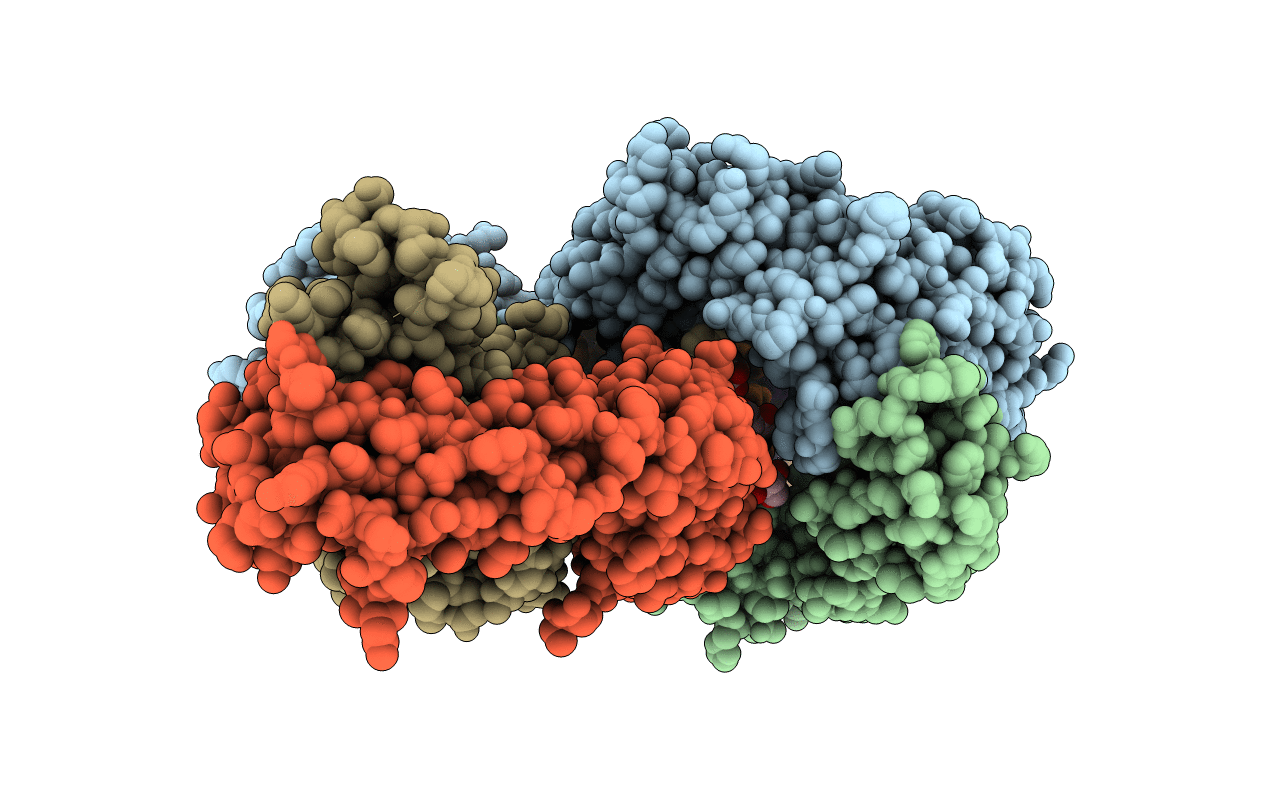 4J4P image