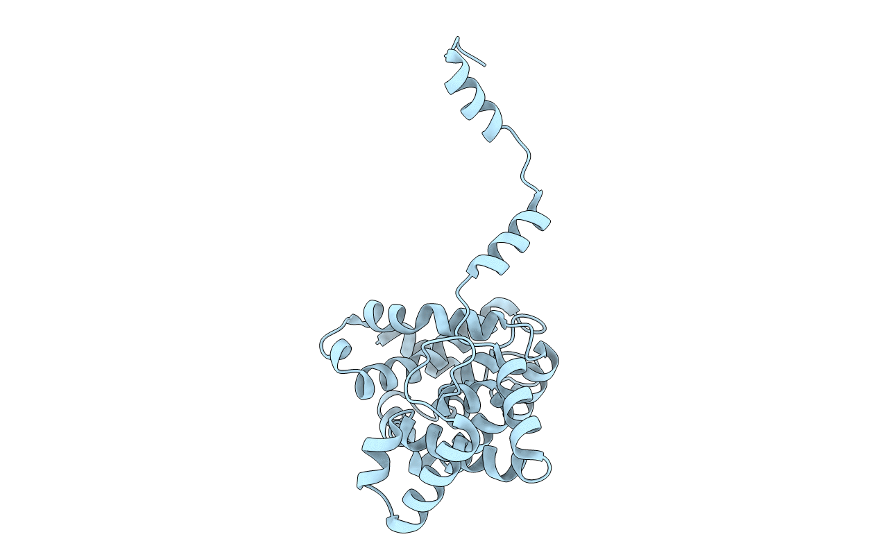 4J4R image