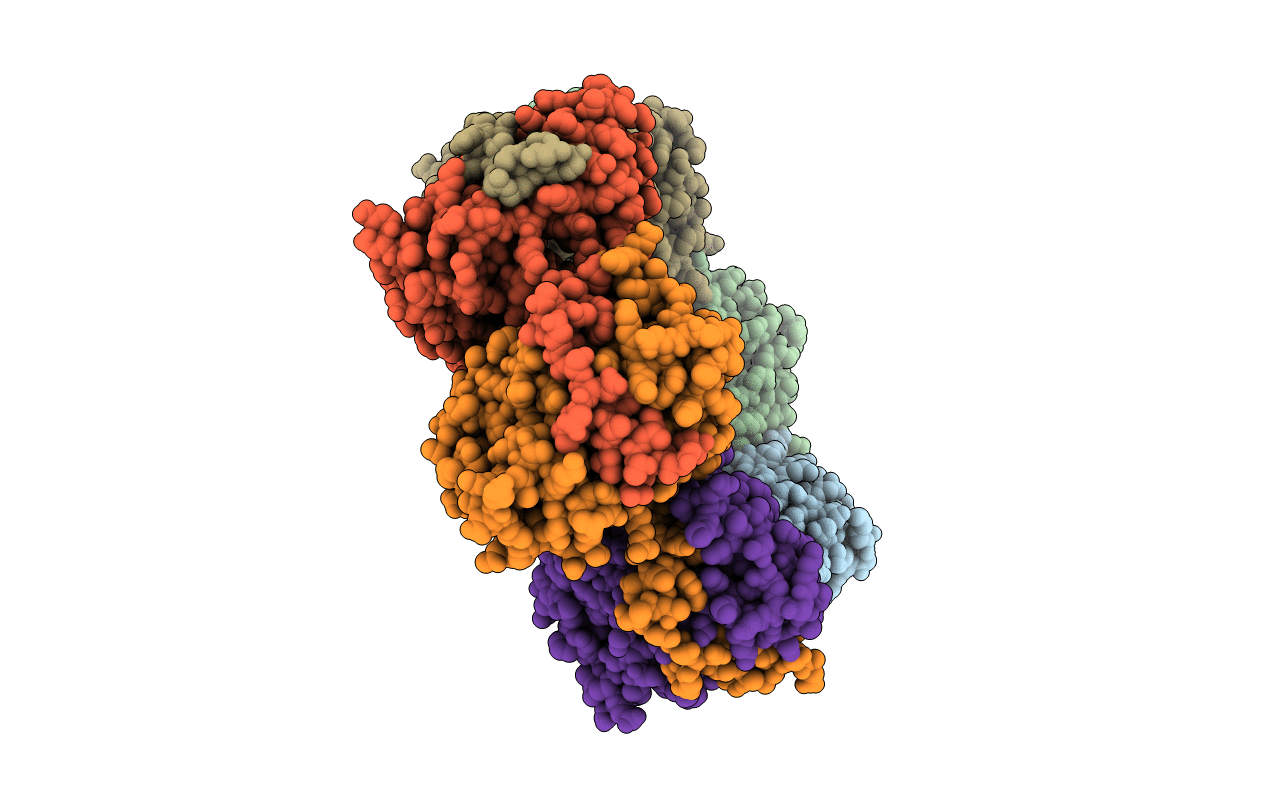 4J4X image