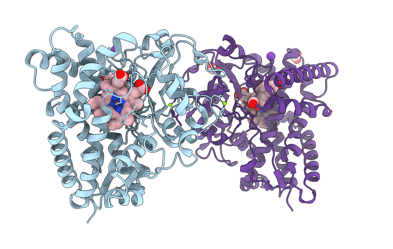 4J6C image