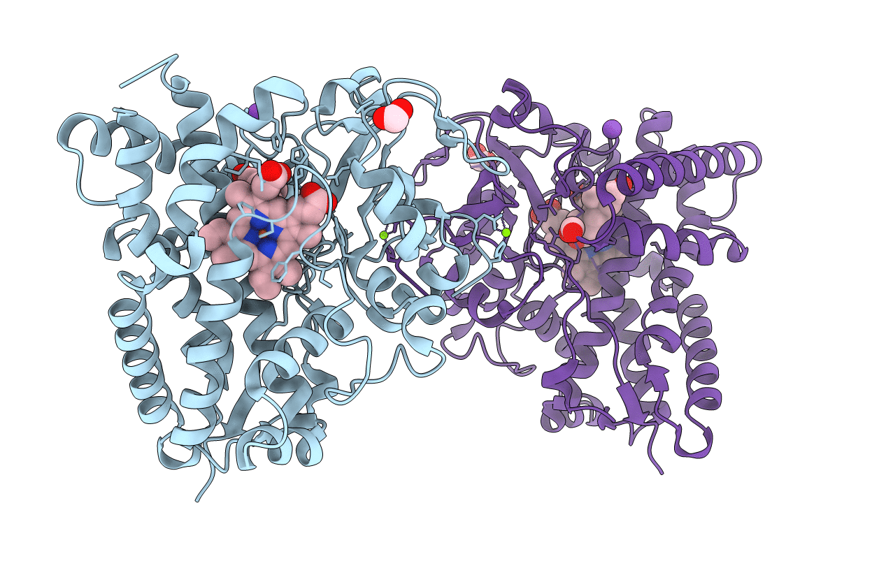 4J6D image