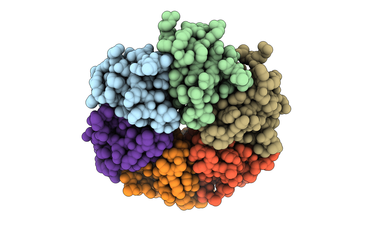 4J6Y image