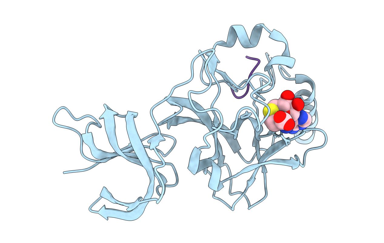 4J7I image
