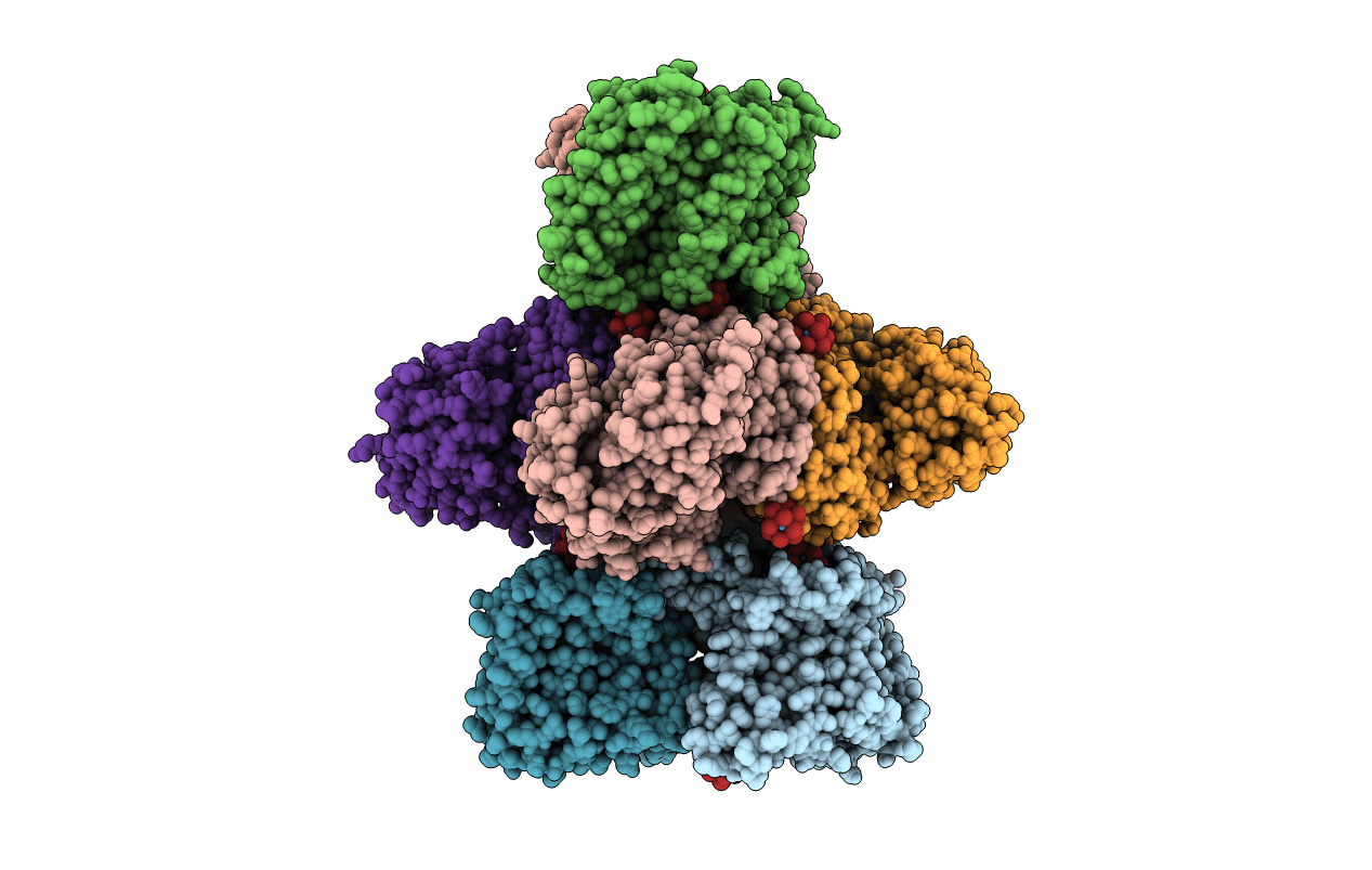 4J9U image