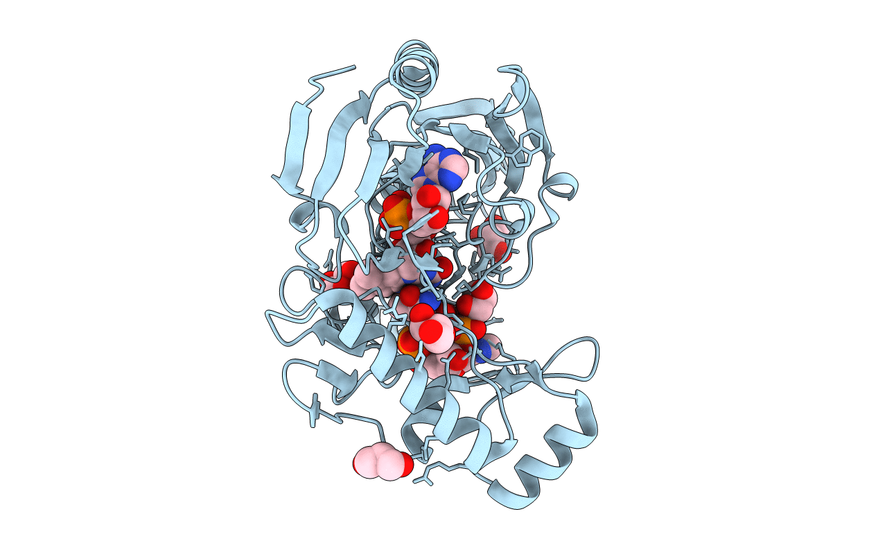 4JB1 image