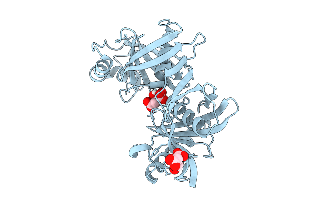 4JBD image